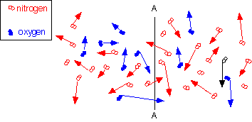 diffusion_1